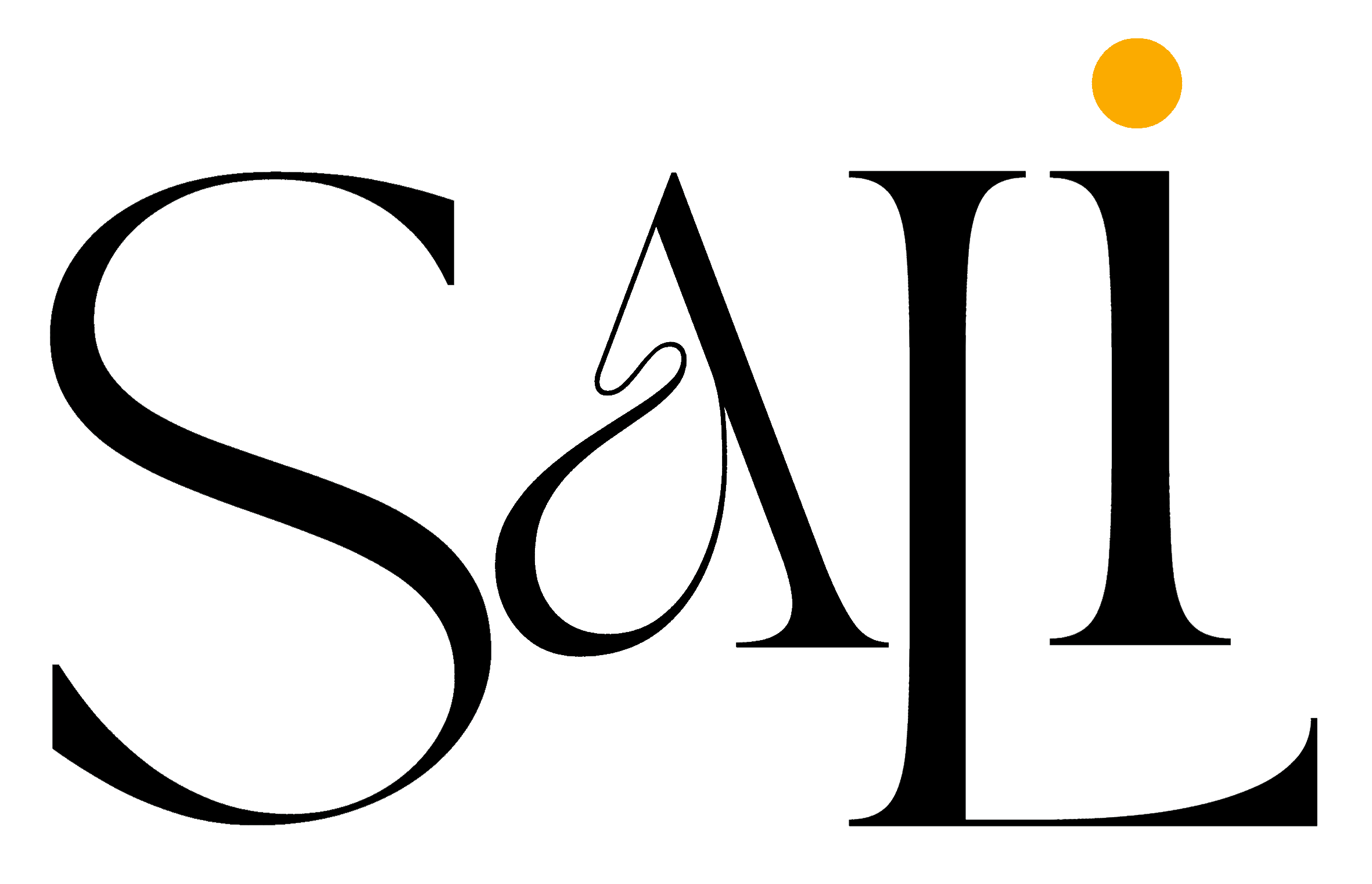 سالی هوم